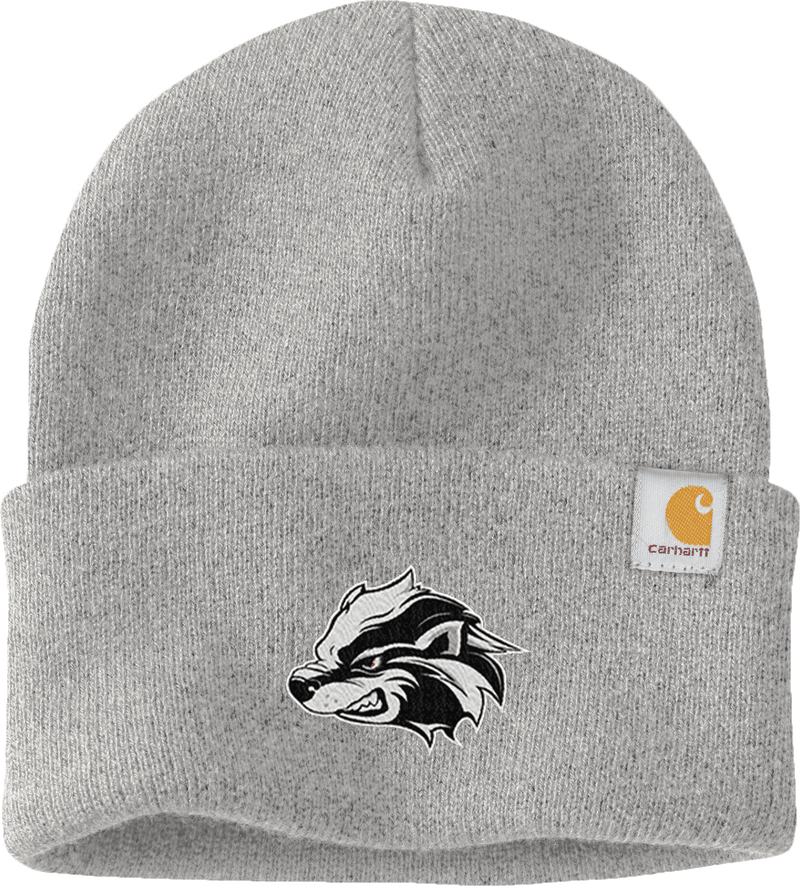 Allegheny Badgers Carhartt Watch Cap 2.0
