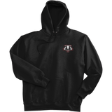 Scary Badgers Ultimate Cotton - Pullover Hooded Sweatshirt